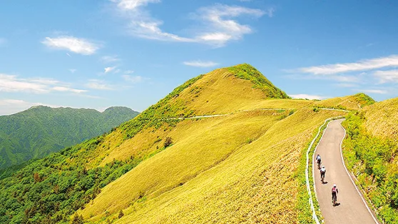 石鎚UFOライン